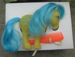 Size: 555x418 | Tagged: safe, photographer:angelponies, blossom, g1, comb, irl, photo, toy, venezuela