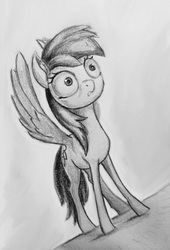 Size: 1002x1470 | Tagged: safe, artist:ponsce, rainbow dash, pegasus, pony, g4, female, grayscale, mare, monochrome, pencil drawing, solo, spread wings, thousand yard stare, traditional art, wide eyes, wings