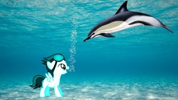 Size: 1024x576 | Tagged: safe, artist:jawsandgumballfan24, rumble, dolphin, pegasus, pony, g4, bubble, colt, cute, male, sand, underwater