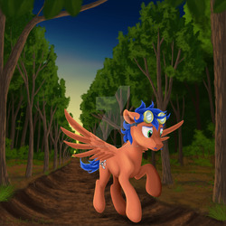 Size: 1024x1024 | Tagged: safe, artist:buchner-art, oc, oc only, pony, forest, goggles, path, solo, watermark