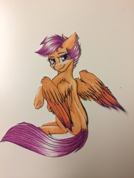 Size: 2448x3264 | Tagged: safe, artist:tillie-tmb, scootaloo, pony, g4, colored wings, female, high res, multicolored wings, sitting, solo, traditional art, two toned wings