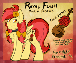 Size: 2906x2411 | Tagged: safe, artist:php166, oc, oc only, oc:royal flush, pegasus, pony, bow, chest fluff, choker, cutie mark, femboy, flower, high res, male, musical instrument, reference sheet, solo, text, violin