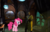 Size: 550x350 | Tagged: safe, artist:edselrobin, artist:tawaki, edit, pinkie pie, human, g4, atrus, earth, firemarble, journal, lamp, myst, myst iii exile, tomahna