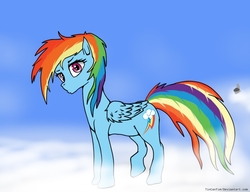 Size: 1043x800 | Tagged: safe, artist:tincantim, rainbow dash, pony, g4, female, solo