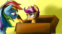 Size: 1302x726 | Tagged: safe, artist:tincantim, rainbow dash, scootaloo, pony, g4, boop, box, pony in a box, underhoof