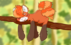 Size: 2300x1440 | Tagged: safe, artist:kittytitikitty, oc, oc:pandy cyoot, red panda pony, :p, silly, sleeping, tongue out