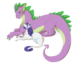 Size: 4252x3664 | Tagged: safe, artist:lu-le-ma, rarity, spike, g4, female, male, older, older spike, ship:sparity, shipping, simple background, straight, transparent background