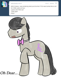 Size: 500x631 | Tagged: safe, artist:erthilo, octavia melody, earth pony, pony, ask octavia, g4, ask, bowtie, implied transformation, male, octavius, oh dear, raised hoof, rule 63, solo, stallion
