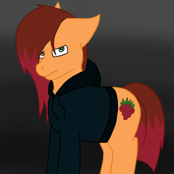 Size: 1200x1200 | Tagged: safe, artist:kaged-wolf, artist:synchr0wolf, oc, oc only, oc:raspberry cobbler, earth pony, pony, clothes, depressed, food, gradient background, hoodie, looking at you, male, offspring, parent:cheese sandwich, parent:pinkie pie, parents:cheesepie, raspberry (food), solo, stallion