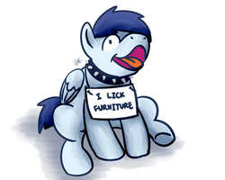 Size: 1280x1024 | Tagged: safe, artist:sugar morning, oc, oc only, oc:slipstream, dog pony, pegasus, pony, behaving like a dog, boof, boofy, boofy is a good boy, collar, cute, derp, funny, male, open mouth, paper, pony shaming, pure unfiltered evil, shaming, sitting, solo, spiked collar, stallion, tongue out, weird