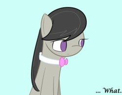 Size: 801x624 | Tagged: safe, artist:erthilo, octavia melody, earth pony, pony, ask octavia, g4, ask, bowtie, female, mare, no pupils, simple background, solo, tumblr, white background