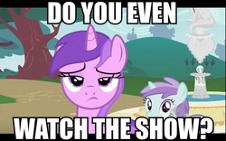 Size: 960x600 | Tagged: safe, edit, edited screencap, screencap, amethyst star, liza doolots, petunia, sparkler, tootsie flute, pony, unicorn, g4, season 2, the mysterious mare do well, amethyst star is not amused, background pony, do you even watch the show?, female, filly, fountain, image macro, impact font, know your meme, mare, meme, reaction image, unimpressed amethyst star