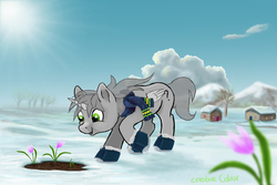 Size: 5000x3333 | Tagged: safe, artist:buchner-art, oc, oc only, pony, g4, winter wrap up, clothes, commission, crocus, flower, looking at something, looking down, outdoors, scarf, smiling, snow, solo, sun, your character here