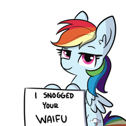 Size: 1650x1650 | Tagged: safe, artist:tjpones, rainbow dash, pegasus, pony, g4, ear fluff, female, implied lesbian, lidded eyes, looking at you, mare, pony shaming, pure unfiltered evil, shaming, sign, simple background, smug, solo, text, waifu, white background, wings
