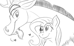 Size: 1920x1200 | Tagged: safe, artist:merciresolution, discord, fluttershy, draconequus, pegasus, pony, g4, bust, female, heart, looking at each other, male, mare, monochrome, portrait, ship:discoshy, shipping, sketch, smiling, straight