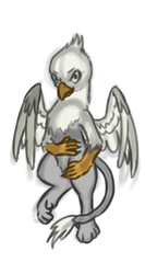 Size: 658x1234 | Tagged: safe, artist:theandymac, artist:tinibirb, color edit, edit, oc, oc only, oc:der, griffon, belly, colored, looking at you, male, on back, sketch, solo