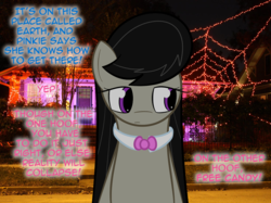 Size: 900x672 | Tagged: safe, artist:erthilo, octavia melody, earth pony, pony, ask octavia, g4, female, halloween, holiday, irl, mare, photo, ponies in real life, solo