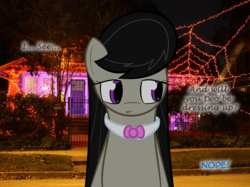 Size: 900x672 | Tagged: safe, artist:erthilo, octavia melody, earth pony, pony, ask octavia, g4, female, halloween, holiday, irl, mare, photo, ponies in real life, solo