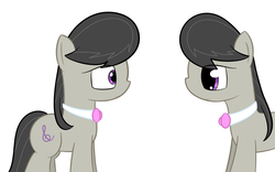 Size: 902x564 | Tagged: safe, artist:erthilo, octavia melody, earth pony, pony, ask octavia, g4, ask, duo, duo female, eye contact, female, looking at each other, mare, self ponidox, simple background, white background