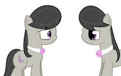 Size: 902x564 | Tagged: safe, artist:erthilo, octavia melody, earth pony, pony, ask octavia, g4, ask, duo, duo female, eye contact, female, looking at each other, mare, self ponidox, simple background, white background