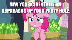 Size: 474x262 | Tagged: safe, edit, edited screencap, screencap, pinkie pie, earth pony, pony, g4, blushing, broken english, caption, female, floppy ears, i accidentally, image macro, implied insertion, meme, solo