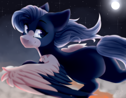 Size: 1579x1227 | Tagged: safe, artist:dustyonyx, oc, oc only, pegasus, pony, art trade, flying, night, smiling, solo