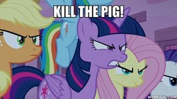 Size: 600x337 | Tagged: safe, edit, edited screencap, screencap, applejack, fluttershy, rainbow dash, rarity, twilight sparkle, alicorn, pony, g4, to where and back again, evil mane six, evil twilight, image macro, kill the pig, lord of the flies, meme, memeful.com, twilight sparkle (alicorn)