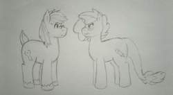 Size: 1024x561 | Tagged: safe, artist:dragonponyling, oc, oc:basher, oc:lena, dracony, earth pony, hybrid, pony, unicorn, blushing, female, glasses, male, mare, monochrome, stallion, traditional art