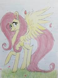 Size: 1152x1554 | Tagged: safe, artist:miss-racco0n, fluttershy, pegasus, pony, g4, female, mare, solo, traditional art