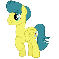 Size: 9375x9375 | Tagged: safe, artist:besttubahorse, oc, oc only, oc:zenith star, pegasus, pony, absurd resolution, male, raised hoof, simple background, solo, transparent background, vector