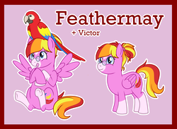 Size: 2154x1574 | Tagged: safe, artist:bakufoon, feathermay, bird, macaw, parrot, pegasus, pony, scarlet macaw, g4, coat markings, facial markings, female, glasses, mare, pince-nez, pink background, simple background, sitting, socks (coat markings), solo, star (coat marking)