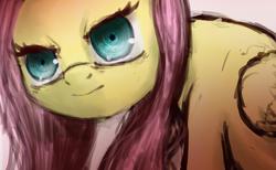 Size: 1280x788 | Tagged: safe, artist:plotcore, fluttershy, pegasus, pony, g4, 30 minute art challenge, female, glare, mare, solo, stare, the stare