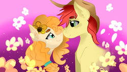 Size: 1920x1080 | Tagged: safe, artist:dankpegasista, bright mac, pear butter, g4, buttercup, curly hair, female, flower, hat, looking at each other, looking at someone, love, male, parent, pink background, ship:brightbutter, shipping, simple background, straight