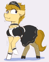 Size: 1000x1268 | Tagged: safe, artist:marsminer, oc, oc only, oc:jarlo, pony, clothes, crossdressing, maid, male, solo, stallion, stockings, thigh highs