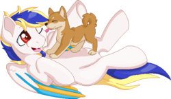 Size: 569x328 | Tagged: safe, artist:gleamydreams, oc, oc only, dog, pegasus, pony, shiba inu, colored wings, eye scar, fangs, licking, one eye closed, red eyes, scar, shibe, simple background, tongue out, transparent background, ych result