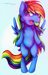 Size: 1000x1558 | Tagged: safe, artist:ferasor, rainbow dash, pegasus, pony, g4, belly button, chibi, female, looking at you, mare, solo
