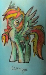 Size: 690x1118 | Tagged: safe, artist:kassberke, oc, oc only, pony, braid, ear fluff, freckles, long hair, smiling, solo, traditional art, yellow eyes