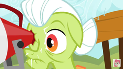 Size: 1280x720 | Tagged: safe, screencap, granny smith, g4, sisterhooves social, eye poke, eye scream, megaphone, ouch