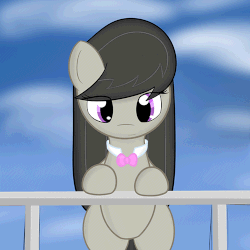 Size: 500x500 | Tagged: safe, artist:erthilo, octavia melody, earth pony, pony, ask octavia, vocational death cruise, g4, animated, ask, female, gif, mare, solo