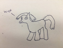 Size: 4032x3024 | Tagged: safe, artist:henbasket, earth pony, pony, pencil drawing, solo, traditional art, wat