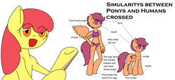 Size: 4928x2268 | Tagged: safe, artist:synnibear03, apple bloom, scootaloo, oc, oc only, oc:ponytale apple bloom, oc:ponytale scootaloo, anthro, comic:ponytale, g4, anthro ponidox, bra, clothes, crop top bra, female, grammar error, panties, pony to anthro, purple underwear, underwear