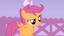 Size: 1280x720 | Tagged: safe, screencap, scootaloo, pegasus, pony, g4, stare master, blank flank, female, filly, gritted teeth, solo, spread wings, teeth, wings
