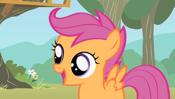 Size: 1280x720 | Tagged: safe, screencap, scootaloo, pegasus, pony, g4, the show stoppers, blank flank, cute, cutealoo, female, filly, flower, foal, open mouth, open smile, smiling, solo, spread wings, wings