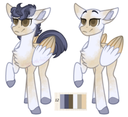 Size: 400x366 | Tagged: safe, artist:wishing-well-artist, oc, oc only, pegasus, pony, bald, chest fluff, male, raised hoof, reference sheet, simple background, solo, stallion, transparent background