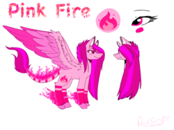 Size: 1024x768 | Tagged: safe, artist:lolaandthepinksky, oc, oc only, oc:pink fire, pegasus, pony, bangs, blushing, coat markings, colored wings, colored wingtips, cutie mark, eye, eyes, female, fire, flaming hooves, flaming tail, fringe, hair over one eye, leonine tail, long mane, mare, name, pink eyes, pink hair, reference sheet, signature, simple background, socks (coat markings), solo, spread wings, text, unshorn fetlocks, white background, wings