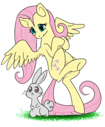 Size: 1750x2100 | Tagged: safe, artist:theluckyblackcatlbc, angel bunny, fluttershy, pegasus, pony, rabbit, g4, female, looking at something, looking down, mare, midair, simple background, solo, spread wings, transparent background, turned head, wings