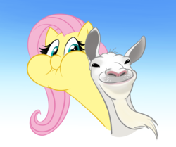 Size: 1232x1028 | Tagged: safe, artist:mickeymonster, fluttershy, goat, pegasus, pony, g4, bust, cute, duo, female, goat simulator, gradient background, looking at you, mare, puffy cheeks, scrunchy face, shyabetes, silly, silly pony