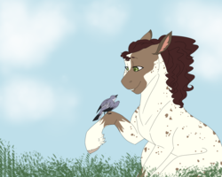 Size: 5000x4000 | Tagged: safe, artist:shadowqueen1999, oc, oc only, oc:crow, bird, pet, raised hoof, smiling, solo