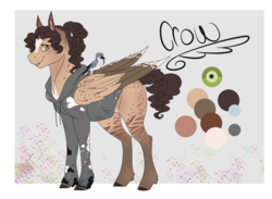 Size: 4016x2932 | Tagged: safe, artist:shadowqueen1999, oc, oc only, oc:crow, bird, pegasus, pony, pet, solo