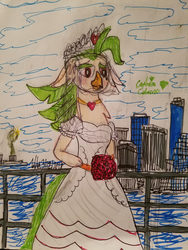 Size: 3024x4032 | Tagged: safe, artist:johng15, captain celaeno, bird, ornithian, anthro, g4, my little pony: the movie, clothes, dress, parrot pirates, pirate, traditional art, wedding dress